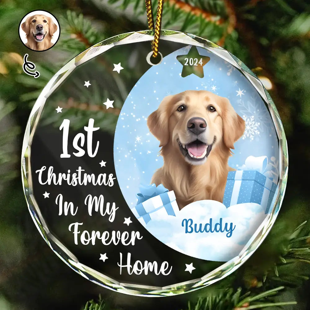 Custom Photo Dog Cat 1st Christmas In My Forever Home - Personalized Circle Glass Ornament